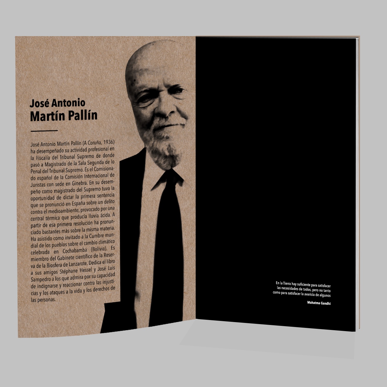 APERTURA_PALLIN
